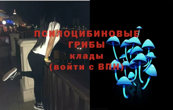 jwh Ельня
