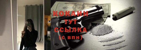 jwh Ельня