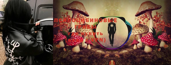 дурь Елизово