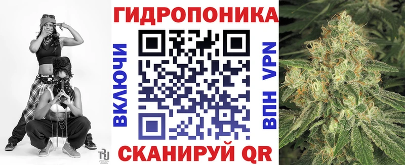 Канабис семена  Купить закладки  Зеленодольск 
